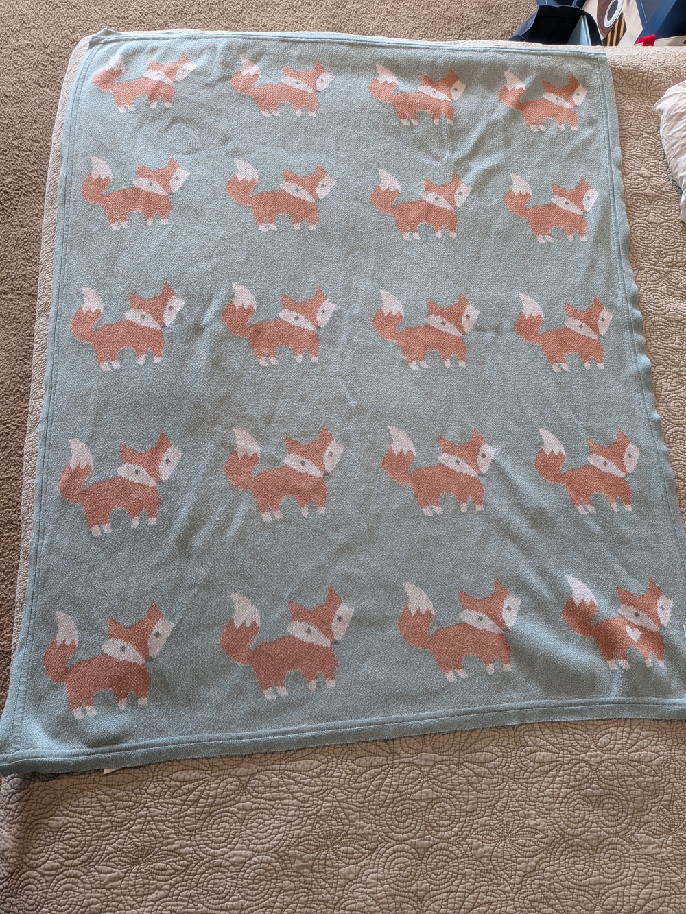 Fox Pattern Baby Throw Blanket - Mint Background